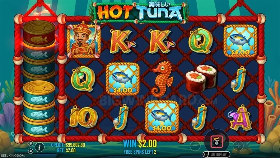 Sports Betting Analytics