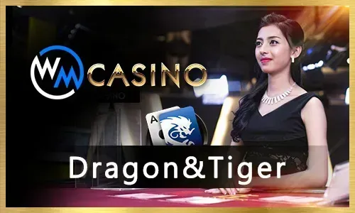 sg777 special event promotion